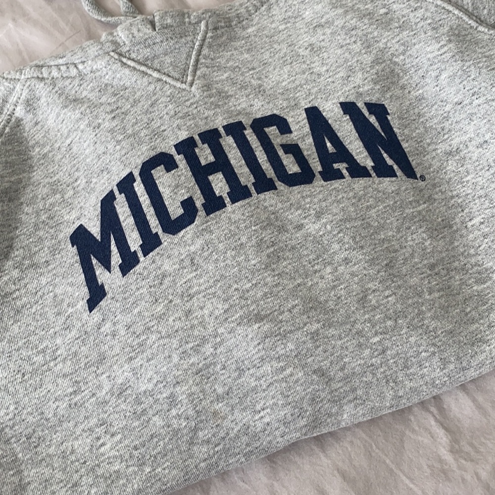 Champion Michigan Sweatshirt // Hoodie